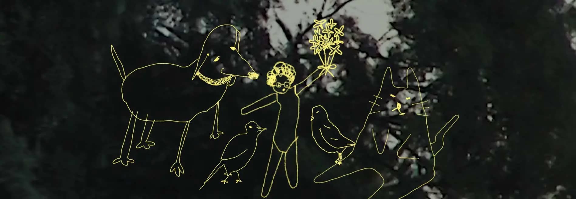Hablar con el paisaje: La (video) poesía como forma de atención