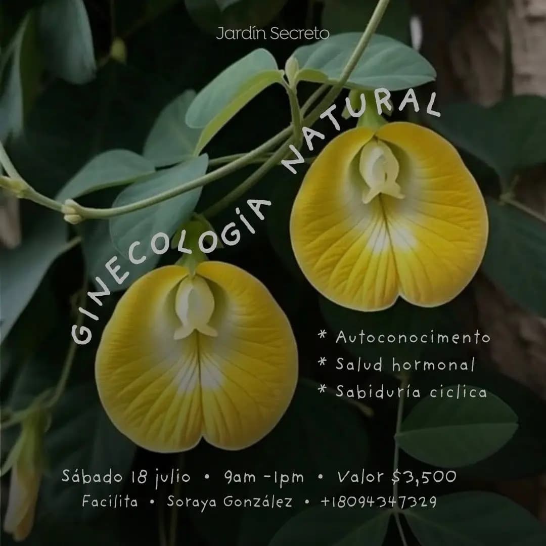 GINECOLOGÍA NATURAL • 18 JULIO