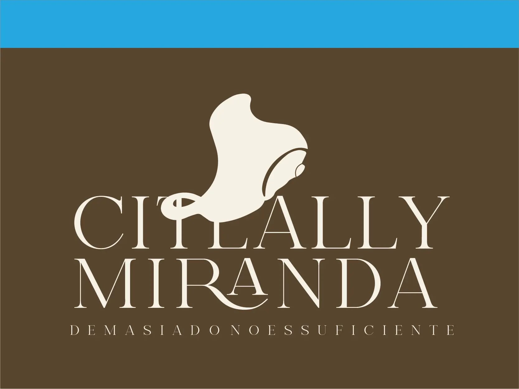 Visita guiada "Demasiado no es suficiente"