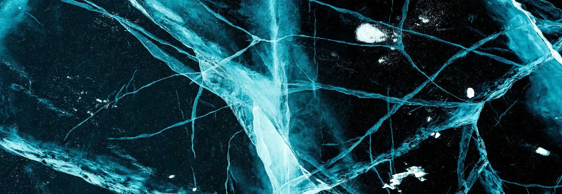Formación en Neuroeducación