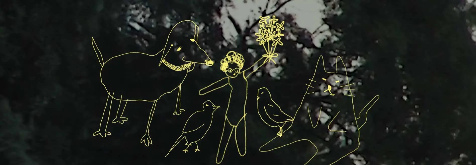Hablar con el paisaje: La (video) poesía como forma de atención