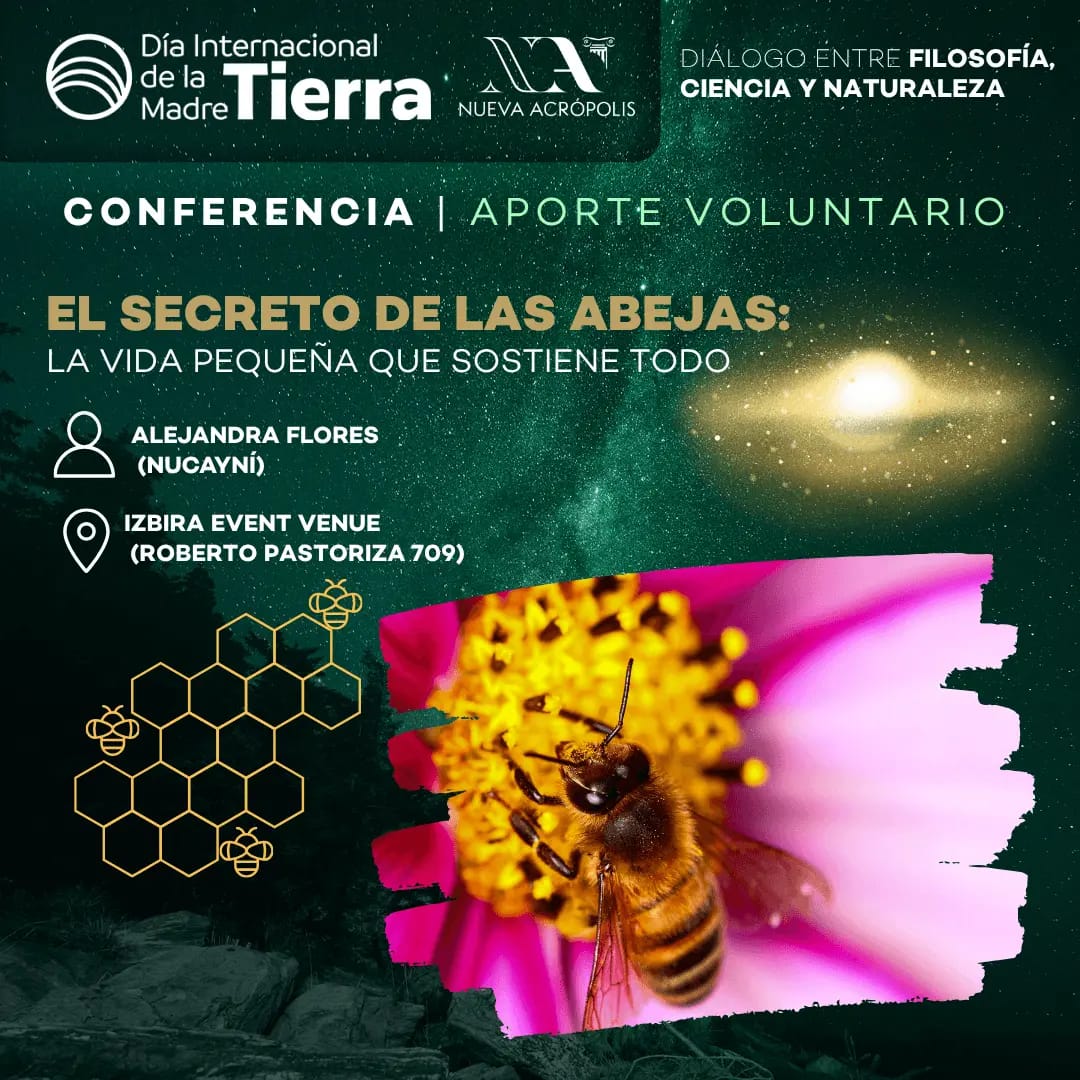 El secreto de las abejas: La vida pequeña  que sostiene todo