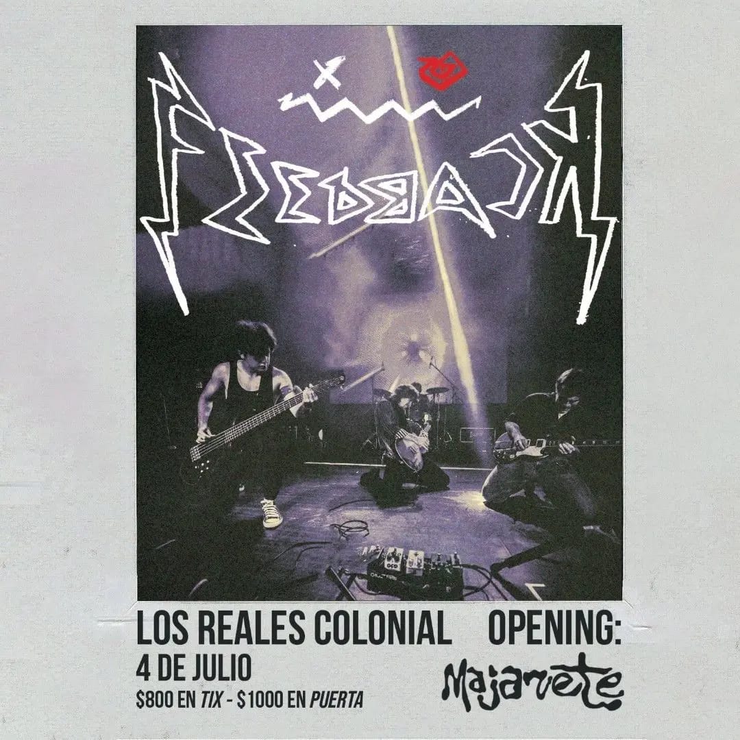 Feedback @ Reales Colonial