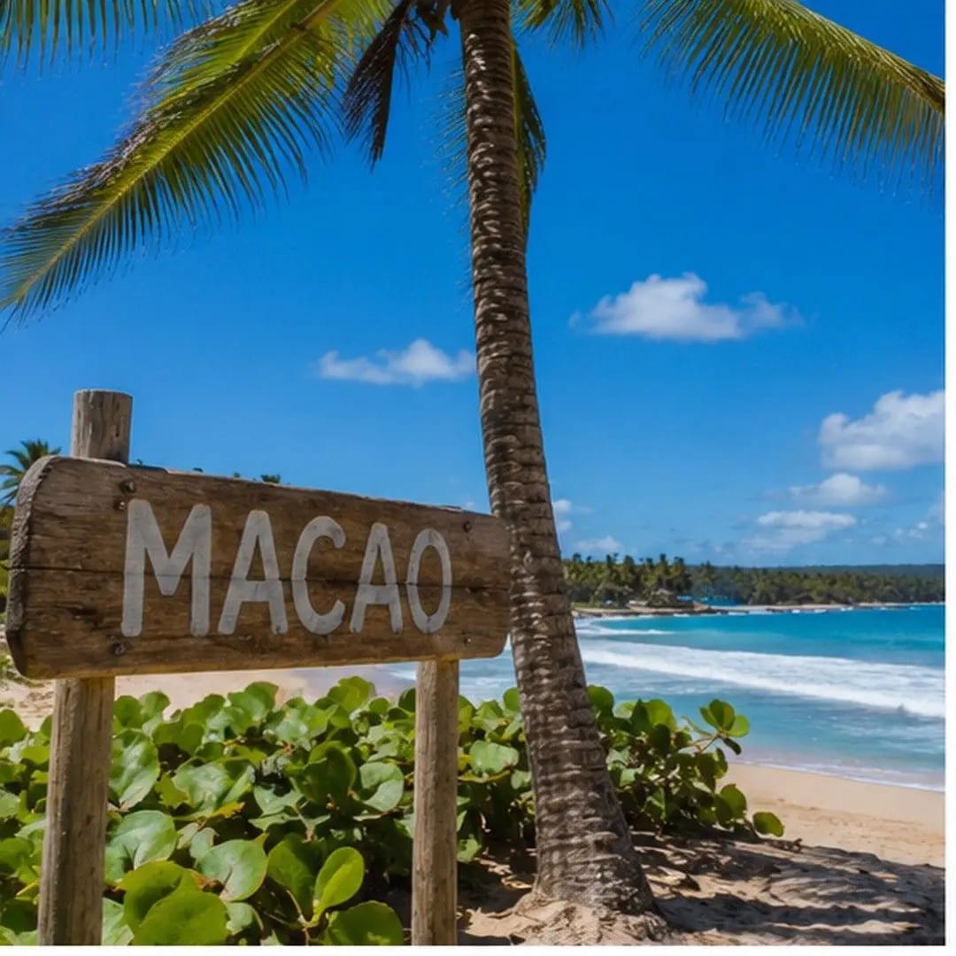 Fiesta en Playa Maco