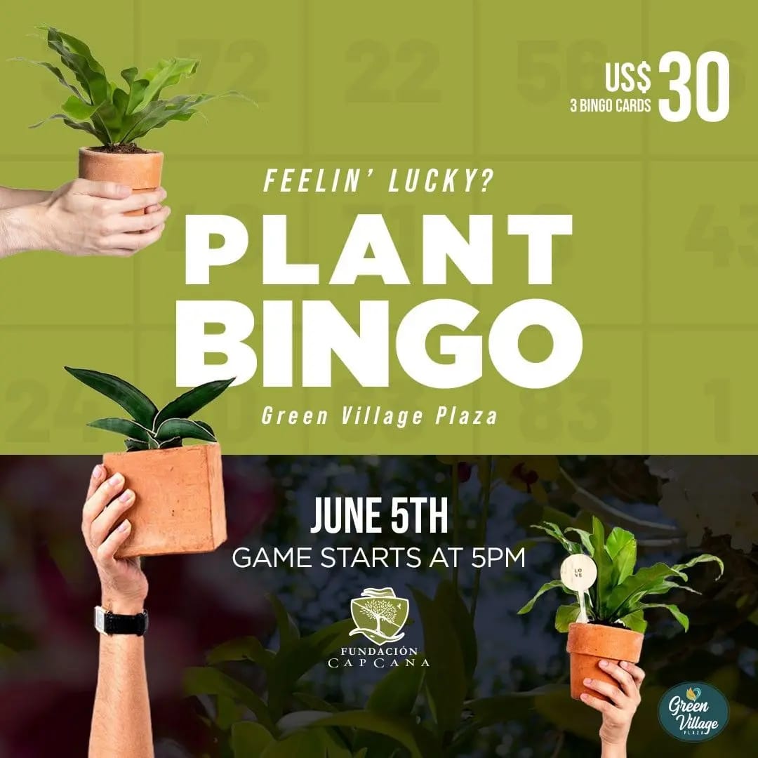 Plant Bingo 🌿
